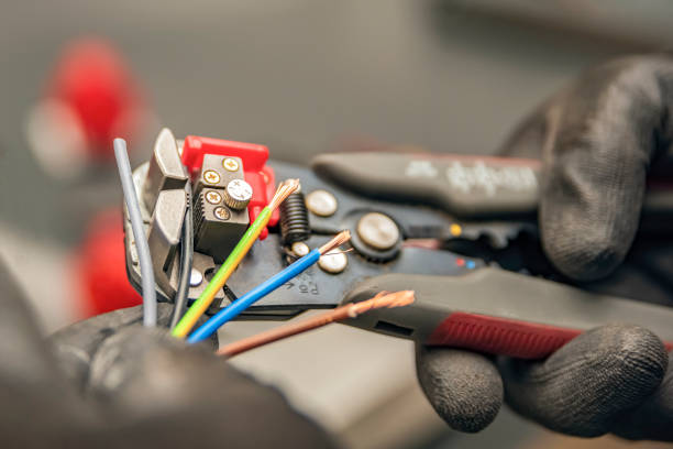 Best Electric Panel Repair  in Pineland, TX