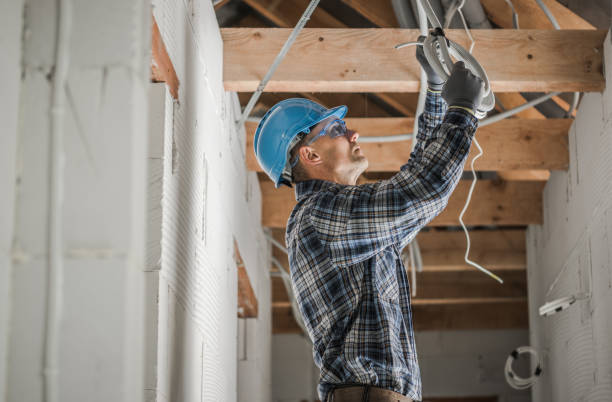 Best Ceiling Fan Installation Electrician  in Pineland, TX
